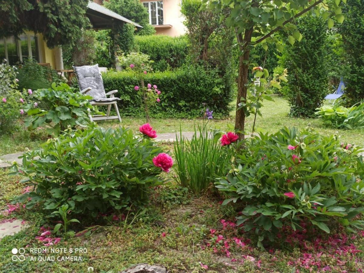 オシエクCocic Gardenアパートメント エクステリア 写真