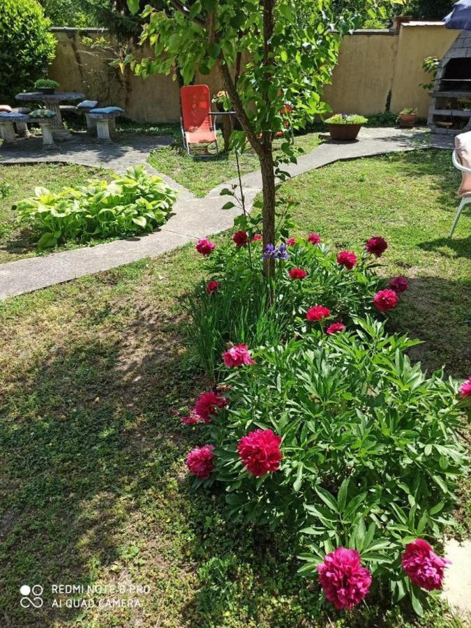 オシエクCocic Gardenアパートメント エクステリア 写真
