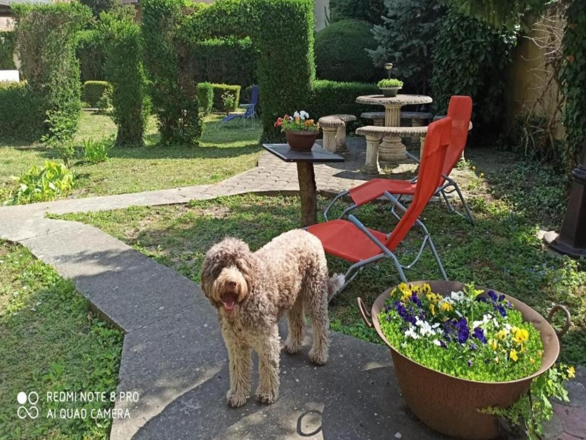 オシエクCocic Gardenアパートメント エクステリア 写真